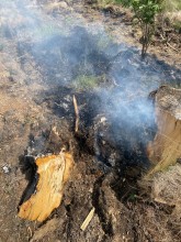 Einsatzfoto IMG-20250502-WA0003.jpg