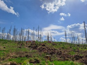 Einsatzfoto 20250502_133633.jpg