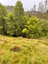 Einsatzfoto IMG-20250712-WA0007.jpg