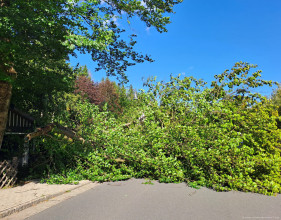 Einsatzfoto IMG-20250916-WA0002.jpg