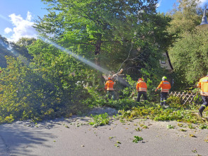 Einsatzfoto IMG-20250916-WA0003.jpg